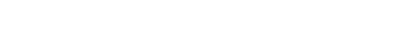 light logo