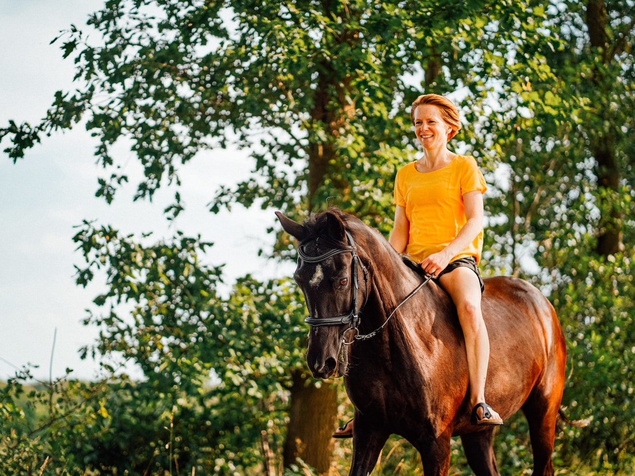 CAMPING CADENIERES_activite-equitation